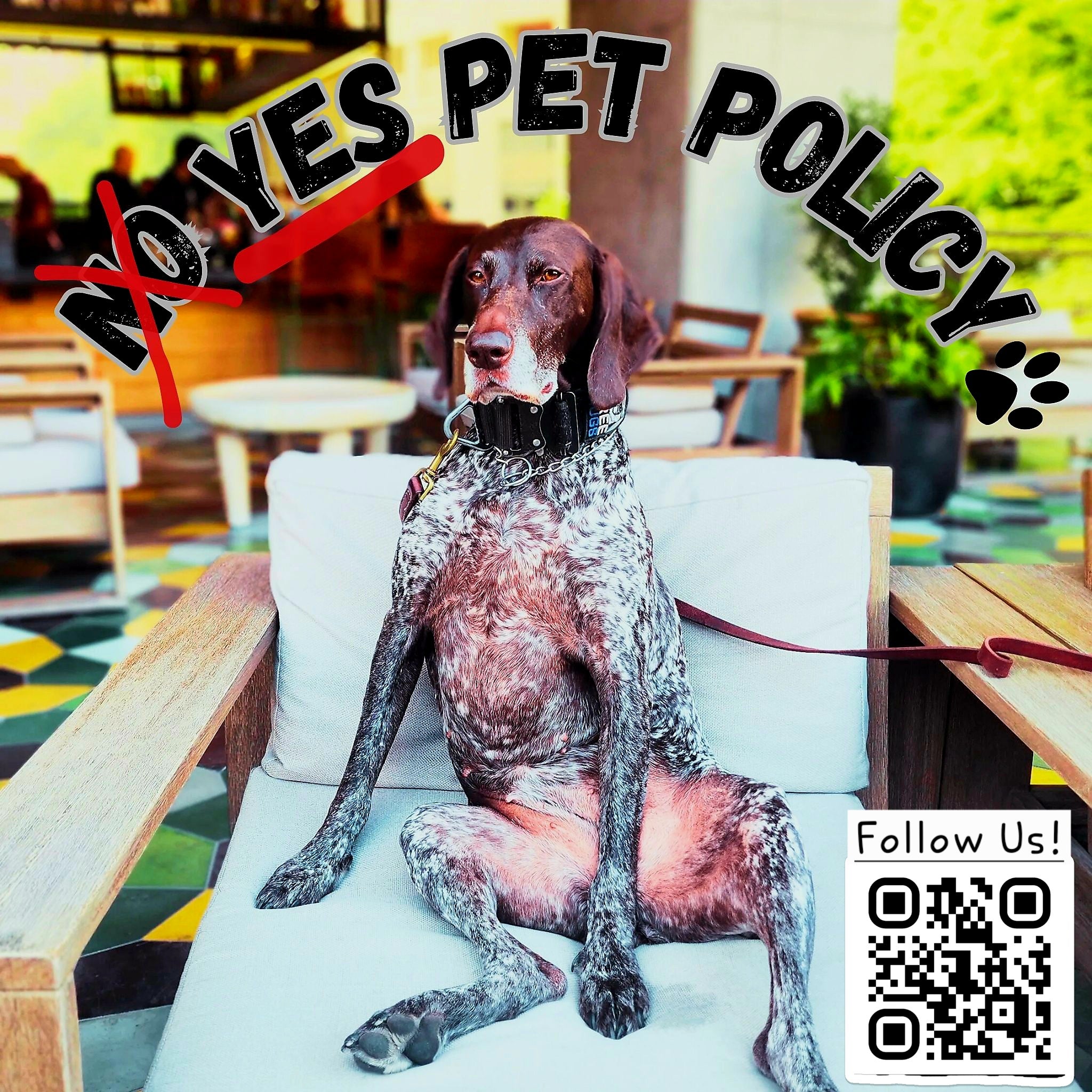 Sticker Pack – No Pet Policy™ (5 designs)